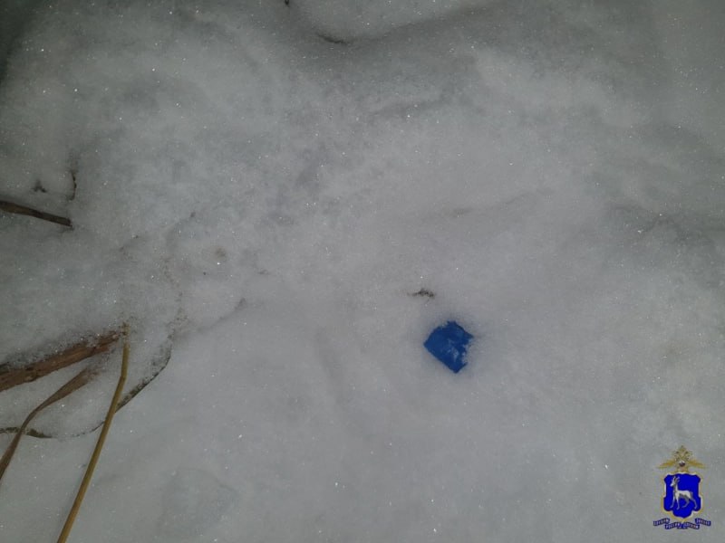 В Жигулёвске избрана мера пресечения сожителям, задержанным полицейскими при попытке сбыта наркотических средств в крупном размере