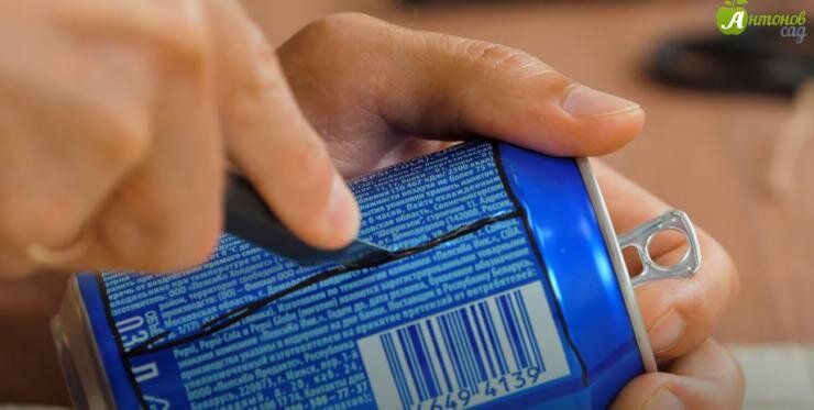 ����� �������� ��� ����: ��� ������� ������ �� ����� � ������� ����� �� ���������