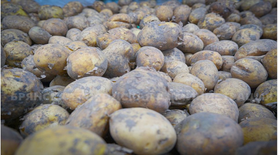 �������� ������� ���������� ������� �� ������� ���������