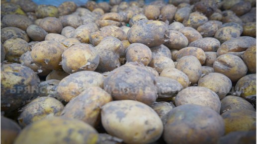 �������� ������� ���������� ������� �� ������� ���������