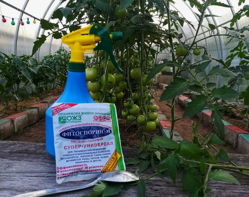 ����������: �������� �������� ��� ������� ������ ��� ������ ���������?