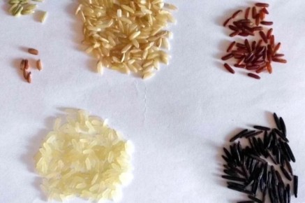 ��� ������� ���: �������� ������ ��� ��������� �������