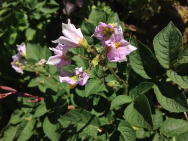 ��������� � ������������: ���������� �������