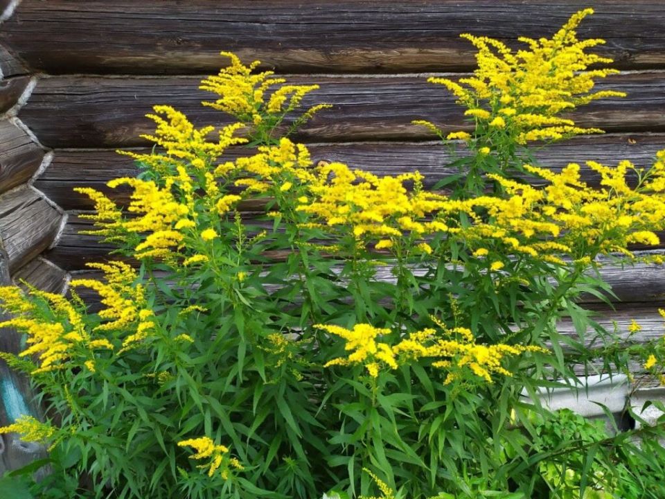 ����������: �������� ���� ��� �������� ����?