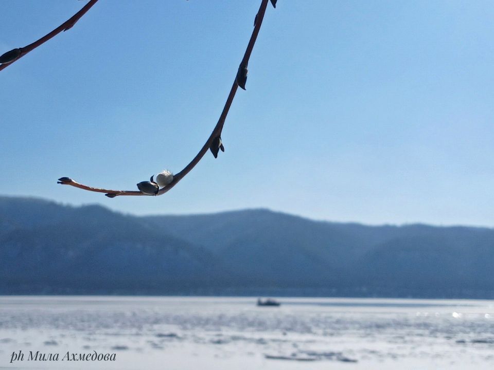 ������ ����, ��������!. �� ��������� 3 �����! �� ��������� ������������������ , ������� ���� ��������� ���������, ������� ��������� ������ � ���� ������� ����� � ������