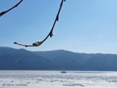 ������ ����, ��������!. �� ��������� 3 �����! �� ��������� ������������������ , ������� ���� ��������� ���������, ������� ��������� ������ � ���� ������� ����� � ������