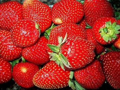 ��� ������� ����� �������� � ������� �����: ��� ������� ������