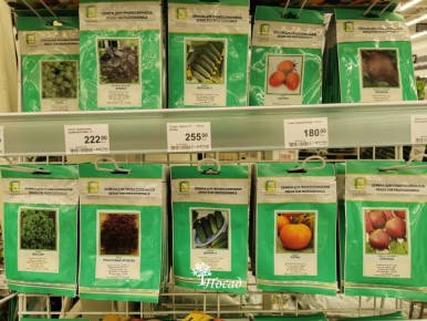 ���������������� ������: ��� � ��� ����� ����� ����� ��������