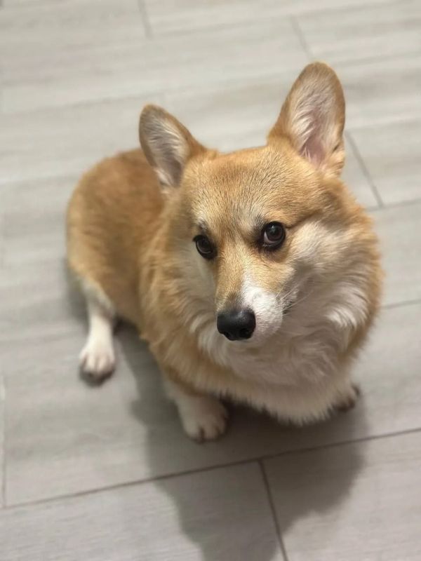 ���� �����-����� � ���������!