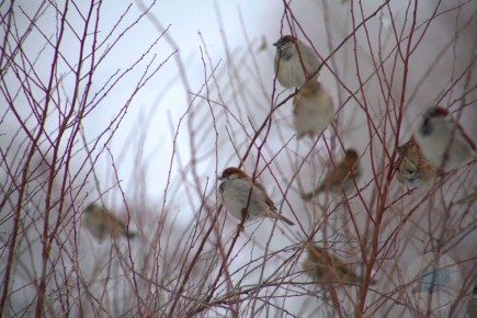 ������ ����, ��������!. �� ��������� 6 �����! �� ��������� ������������������, ������� ���� ������� ��������� ����