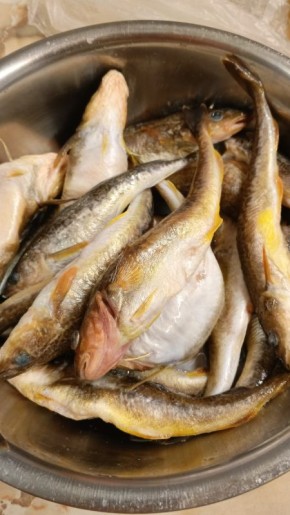 ��� ���������� ��������� ������ � ������ ���������: ������� �������������