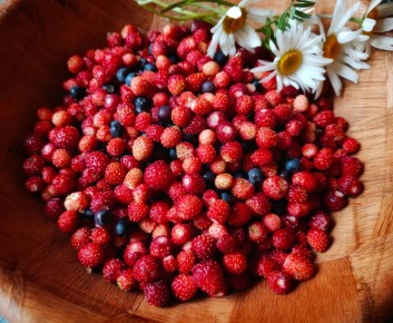 ��������� ���� �� �������: ���� �� ���� � ������������� �������� � ���