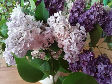 ��������� �����: �������������� ������� ������������� ���