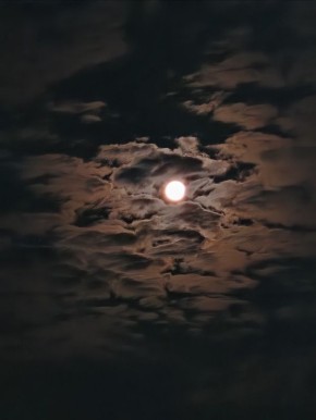 ��������! ������� ��������� ����