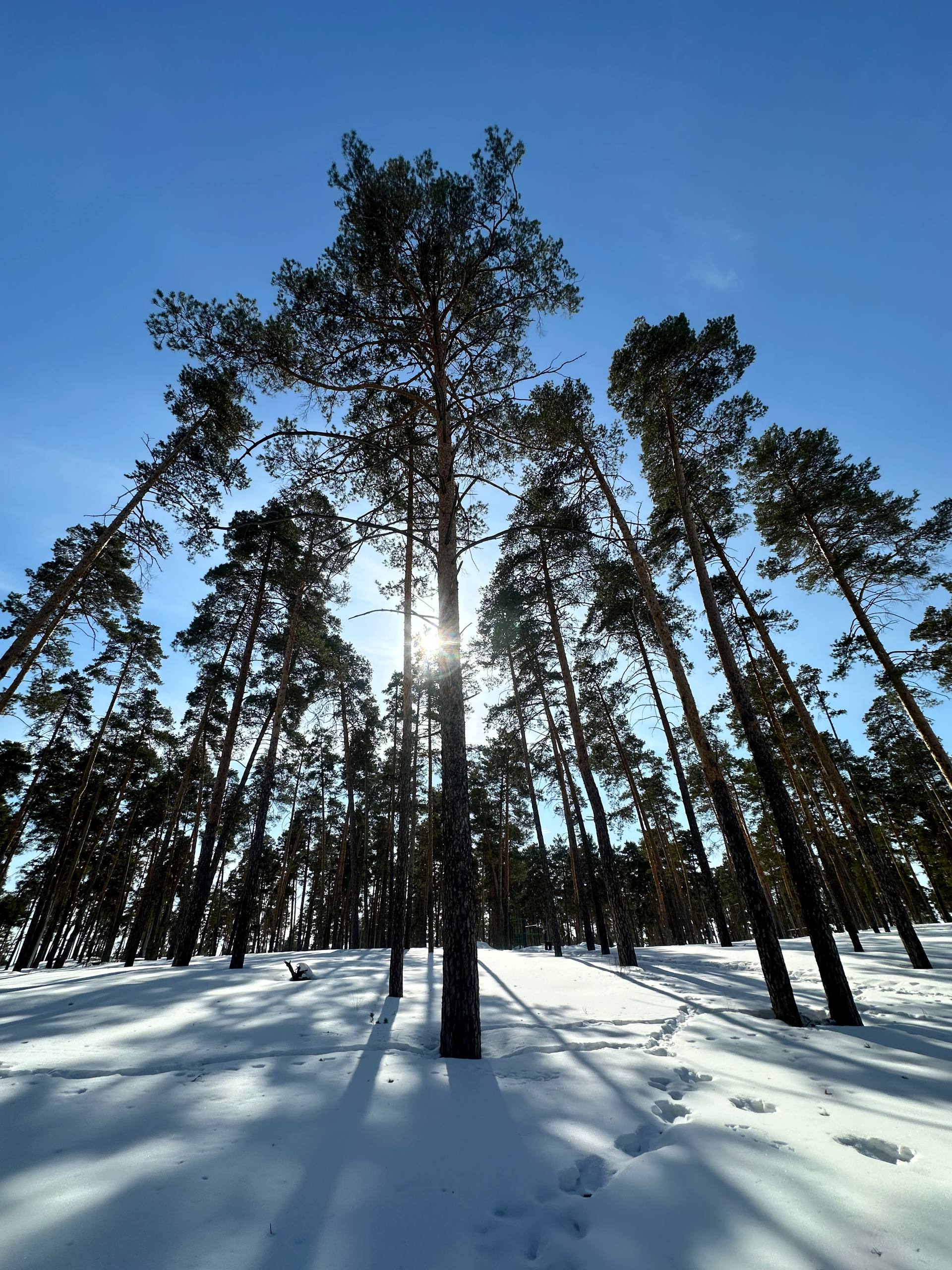 А вот и выходные! Начнём день традиционно - с прогноза погоды!