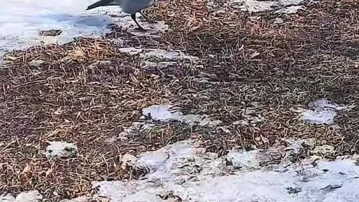 ��������� �� ��������? ��� �� ������ �����, � ����� ��������� ����� ���������!