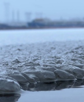 ������ �� �� ������� ������: �� ����������� ������ - �� ��������� � ����!