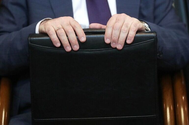 Госдума предлагает упростить проверку доходов депутатов