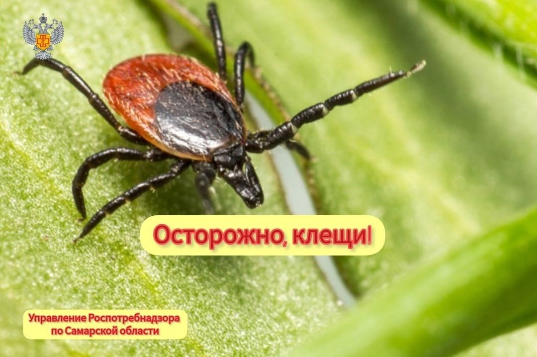 Не ждали? А они проснулись!