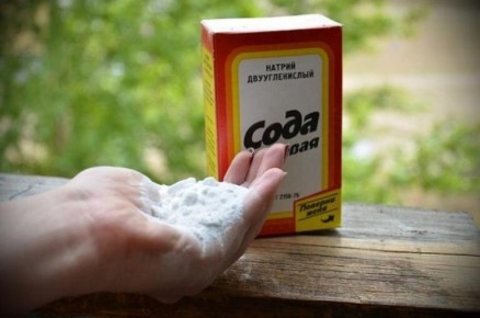 ���� ��� ����������� �������� ������ ��������� ���� �� ���������