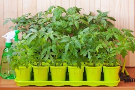 ��� ��������� ������������� ������� ��������� ��� ��������� ������