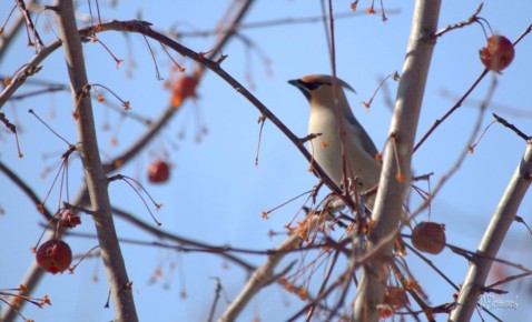 Доброе утро, Тольятти!. На календаре 23 марта