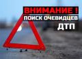 Сотрудниками полиции устанавливаются свидетели и очевидцы