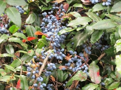 ������� �������������: ������������ ��������� � �������, � ������� ����� ������