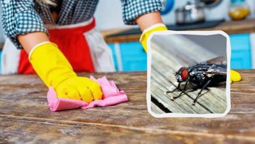 ����������� ������� ������ � ������ � ����� ����