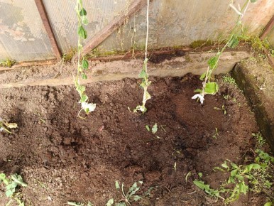 �������� �������� ������� �������: ������� � �������