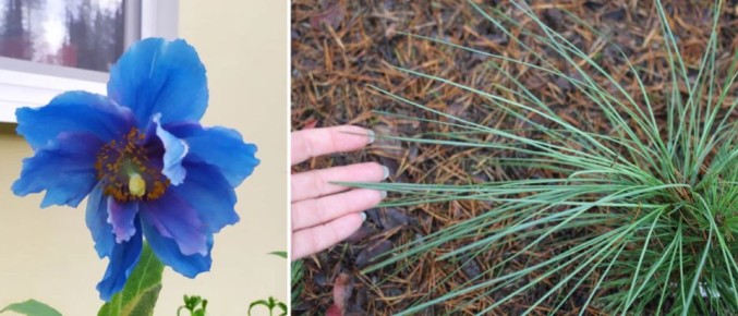 ���������� ����� �����: ��������� ������� ��� ������ ����