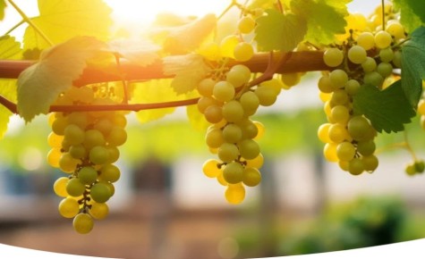 �������� ���� �� ����������: ����� ��������� � ��������