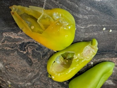 Как выбрать сладкий перец: секреты свежести и вкусности