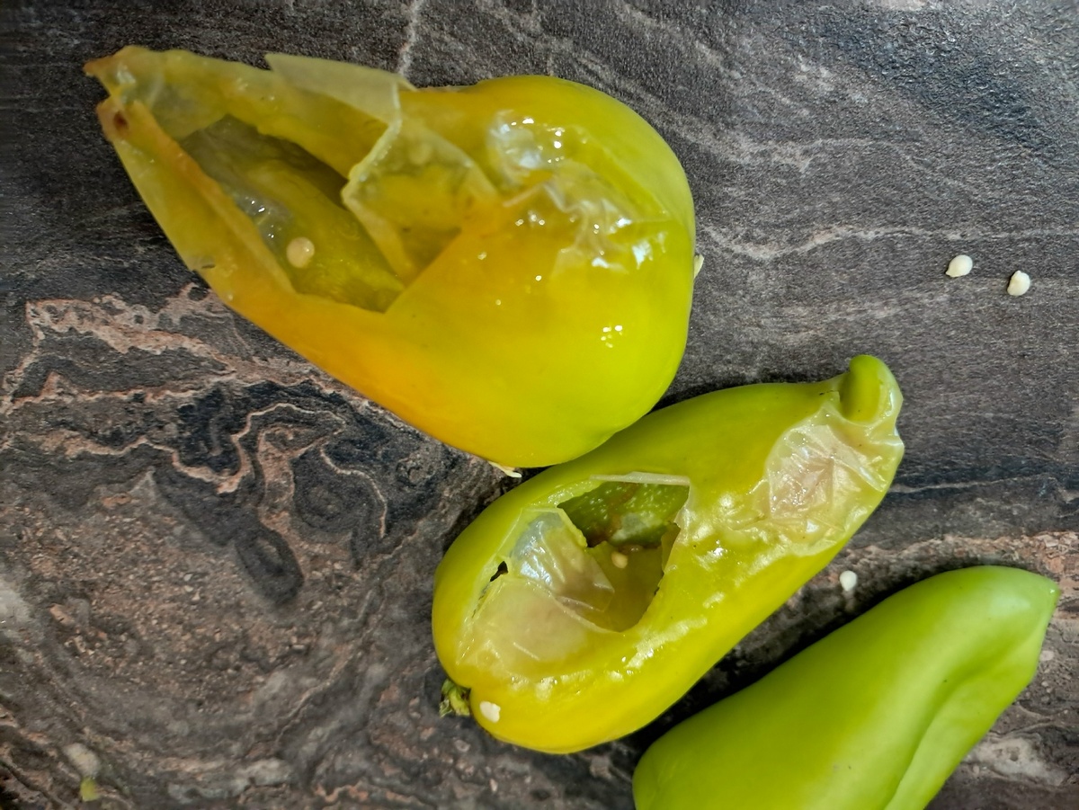 Как выбрать сладкий перец: секреты свежести и вкусности