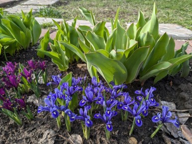 Цена подписки: Как выбрать правильную стоимость для своего контента