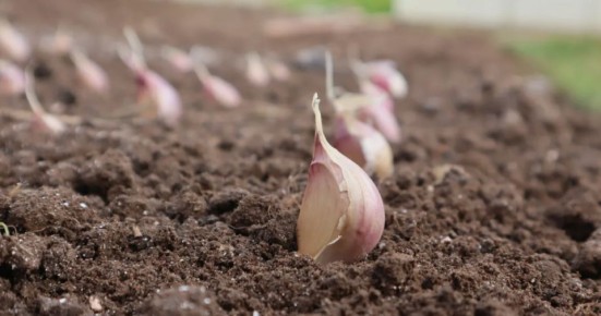 ������ ������: ��� �������� ��������� ������ ��� �������� ���������