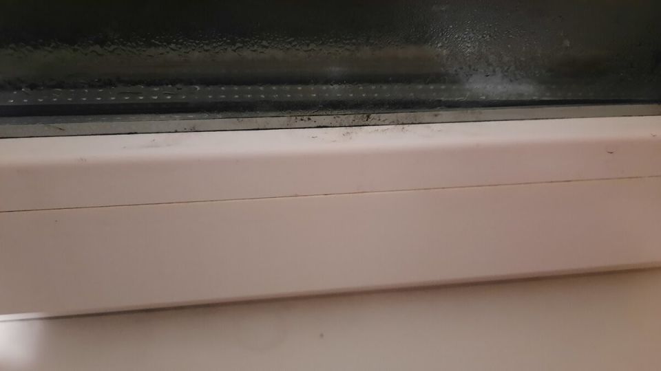 ��� ����� �� 53 ����� ������������ � ������� � �������� �� �����