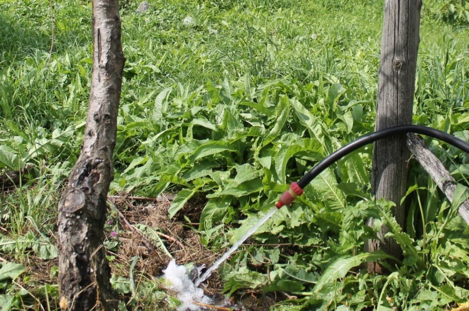 ������� �����: ��� ��������� �������� ���� �� ������