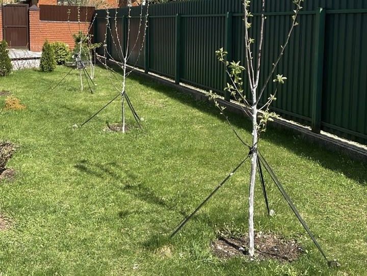 ������� ����: �����, ����� � ���?