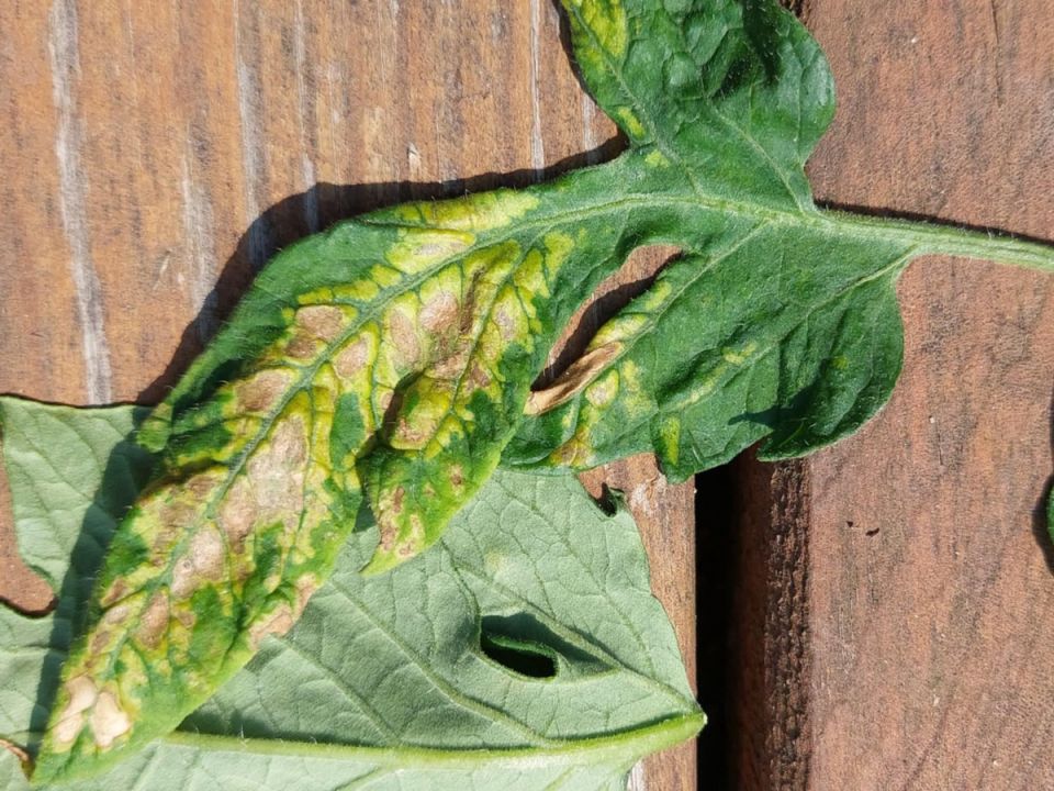 �������� �����: ��� ���������� � ���� ����������