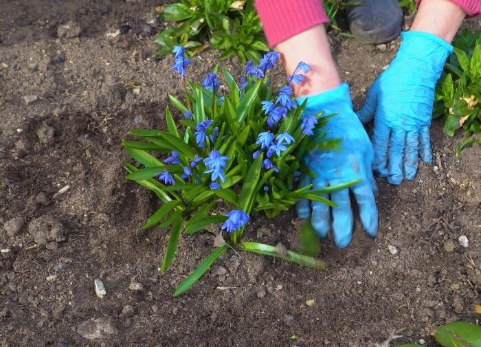 ������: ������� ������, ������� ������� ��� ���