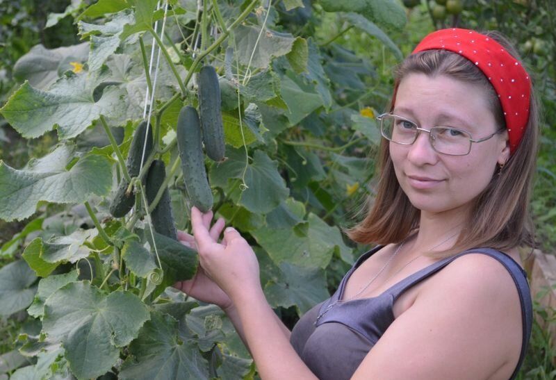 ������ ��� ������: ������� ����������� �� ������ ������������� ��������