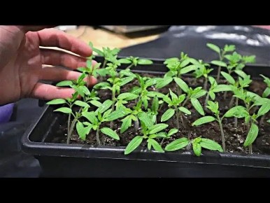 ��� �������� ������ � ����� ��� ���������� ��������