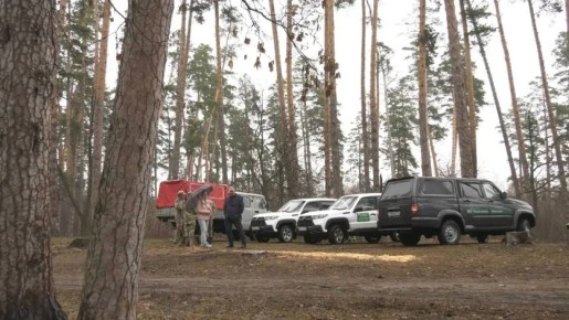 Кто следит за лесом изнутри? Камеры!