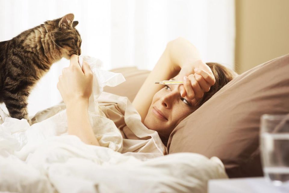 ��� ����� ���������� �������: ������������ ������� � ������� ������