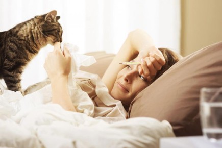 Как кошки распознают болезни: удивительные истории и научное мнение