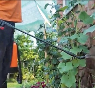 ��� ���������� �������� � ����: ������ ��� ���������