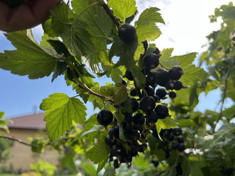 ��� ��������� ������� ���� ������ ��������� ��� ������ ����