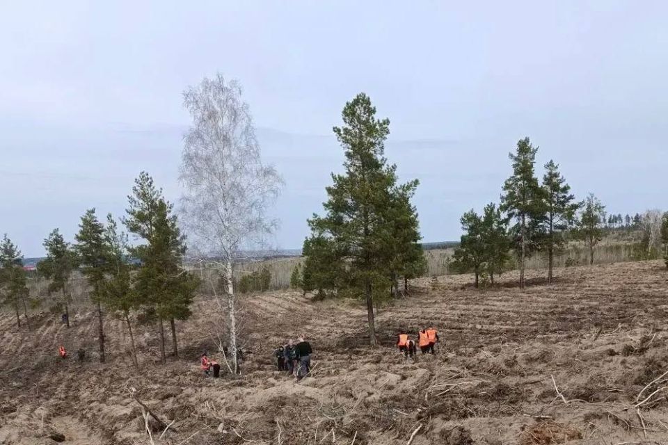 ������� ���������� � ������� ������ ����