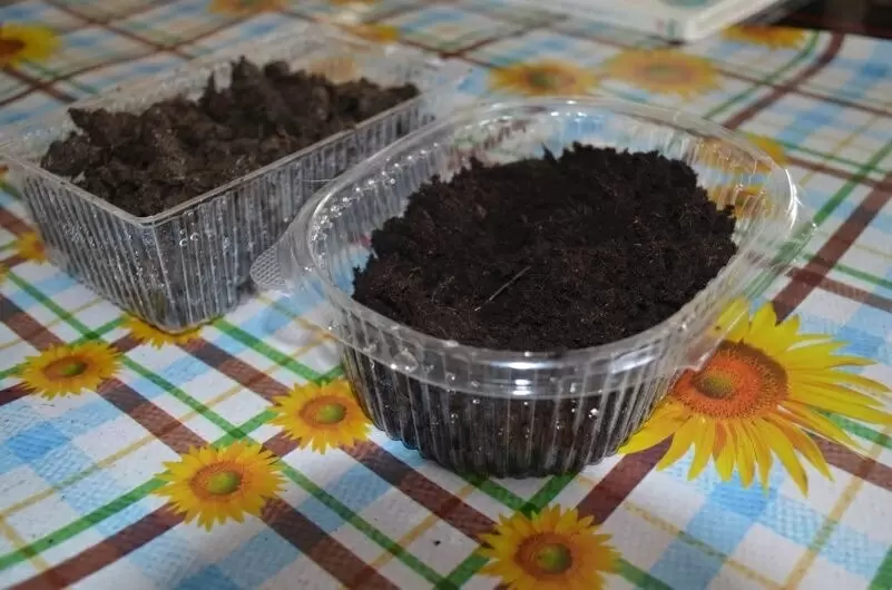 Как проверить pH почвы перед посевом перца: полезные советы